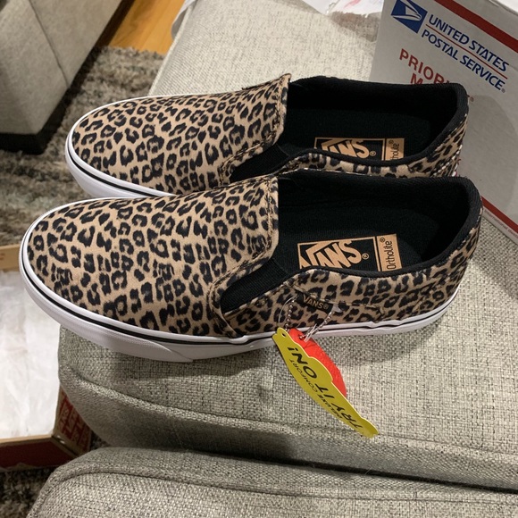 asher leopard vans